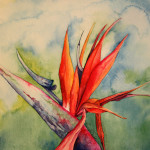 BIRD-OF-PARADISE2