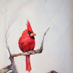 Cardinal