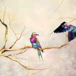 HOME SEARCHING. LILAC BREASTED ROLLER